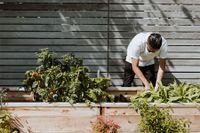 Pflege von Gründächern und extensiven Dachflächen mit Absturzsicherung in Holzmaden
